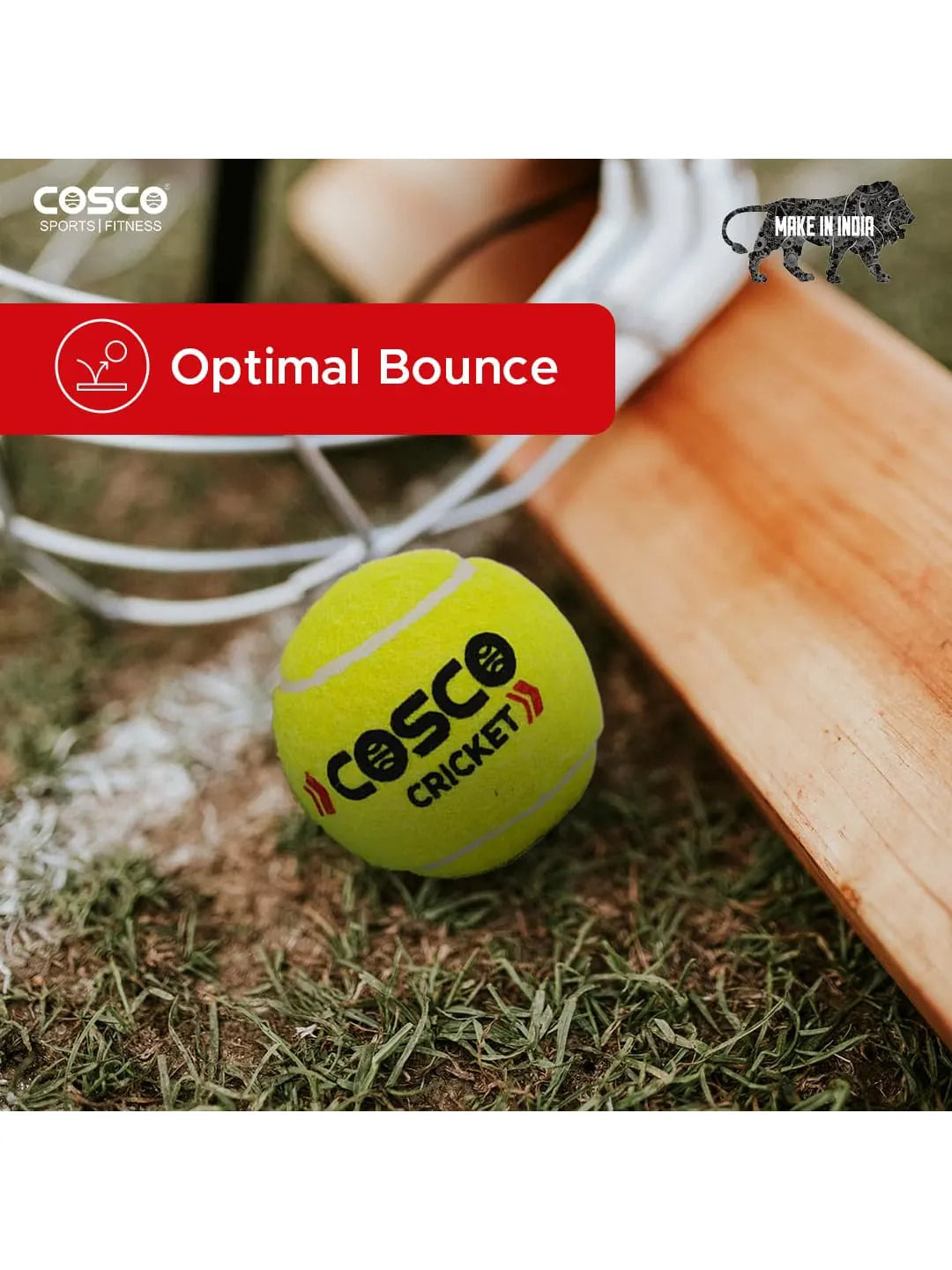 Cosco tennis ball full box (6)